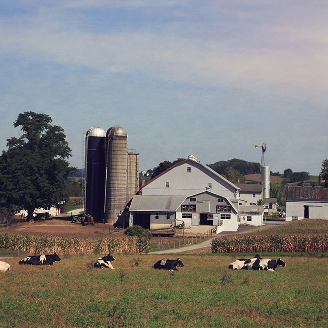 How New Farmers Can Grow Their Business | Univest